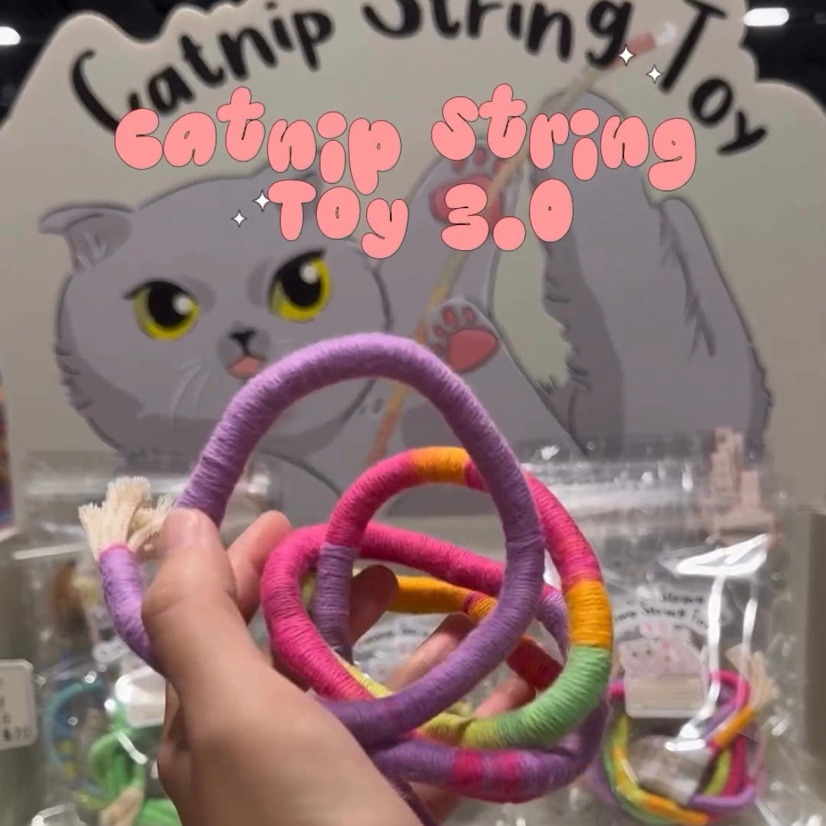 Catnip String Toy 3.0