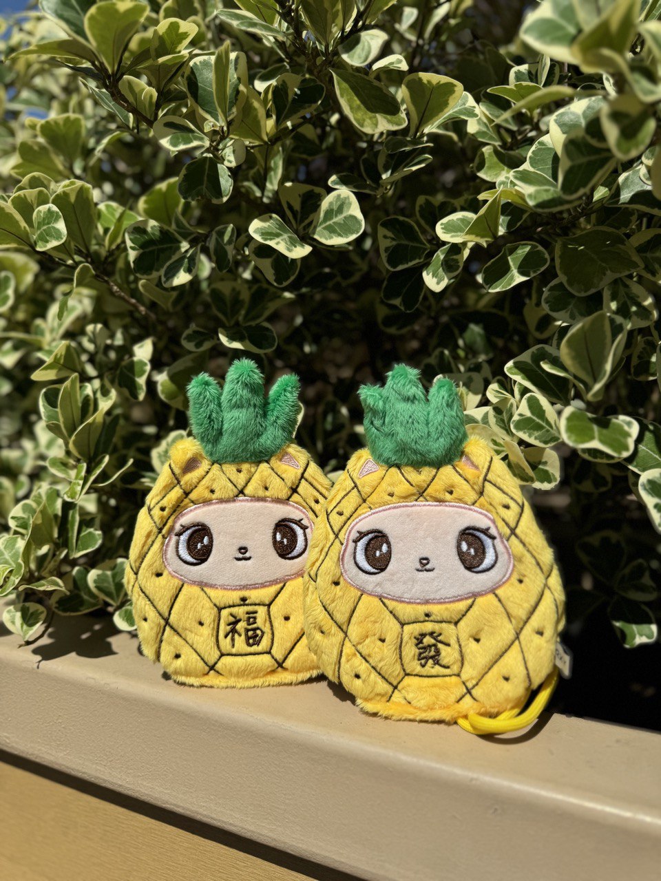 **Preorder** Pineappaw Darumeow Pouch